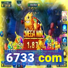 6733 com